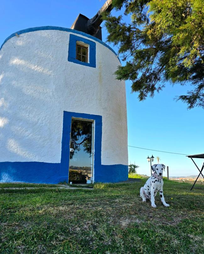 Casal Do Moinho Holiday home Enxara do Bispo